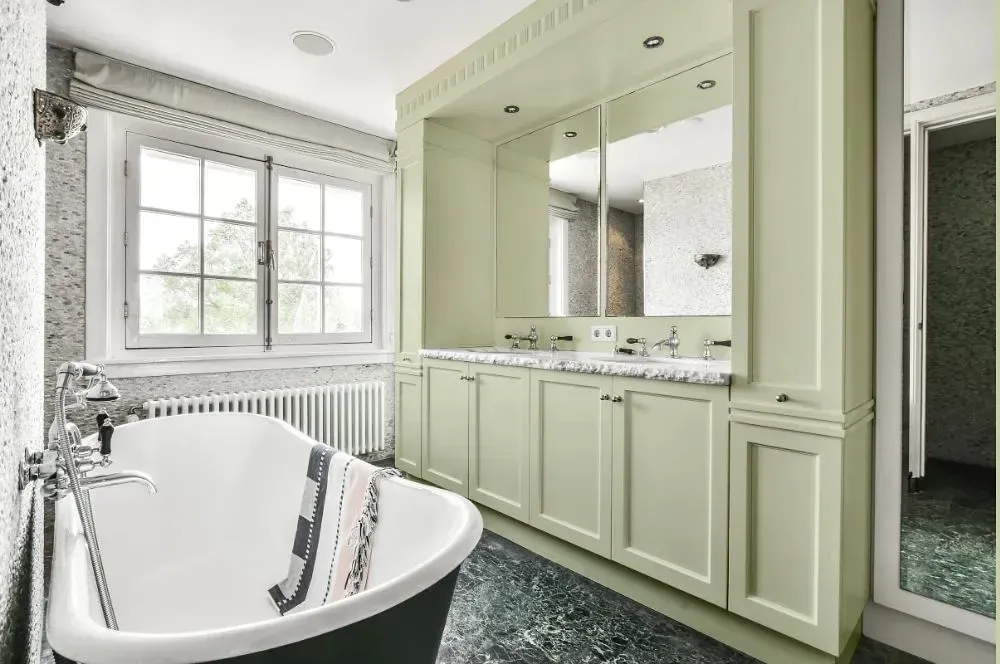 NCS S 1010-G50Y victorian bathroom paint