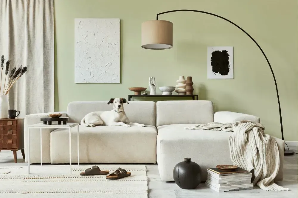 NCS S 1010-G60Y cozy living room