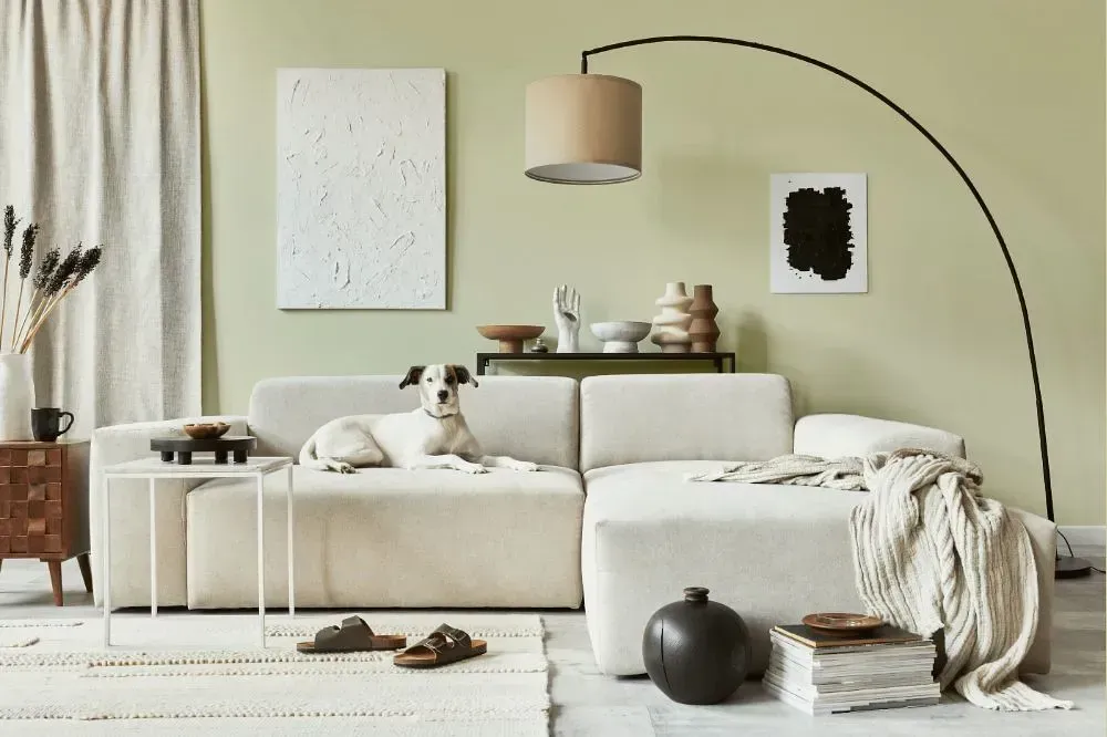 NCS S 1010-G70Y cozy living room