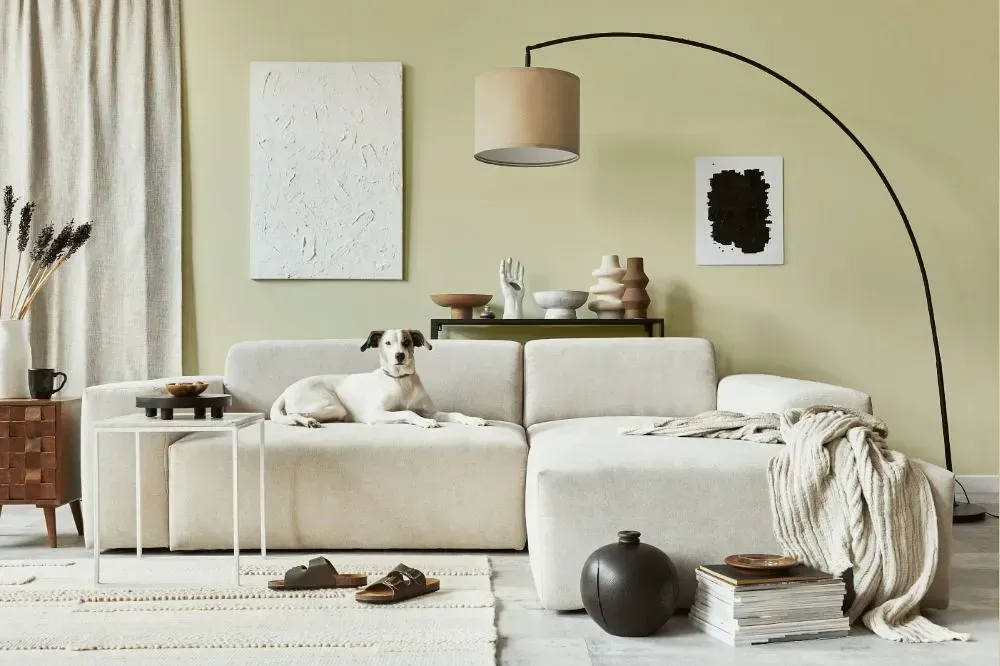 NCS S 1010-G80Y cozy living room