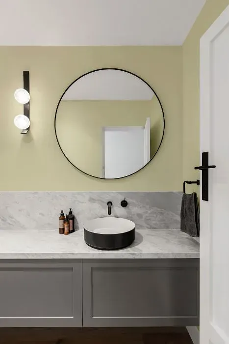NCS S 1010-G80Y minimalist bathroom
