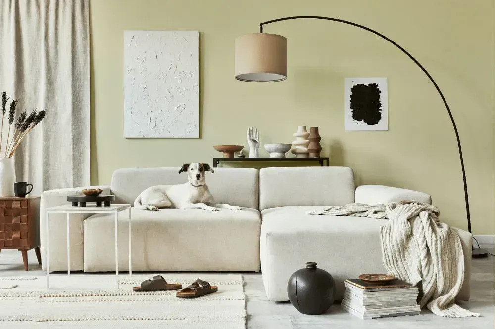 NCS S 1010-G90Y cozy living room