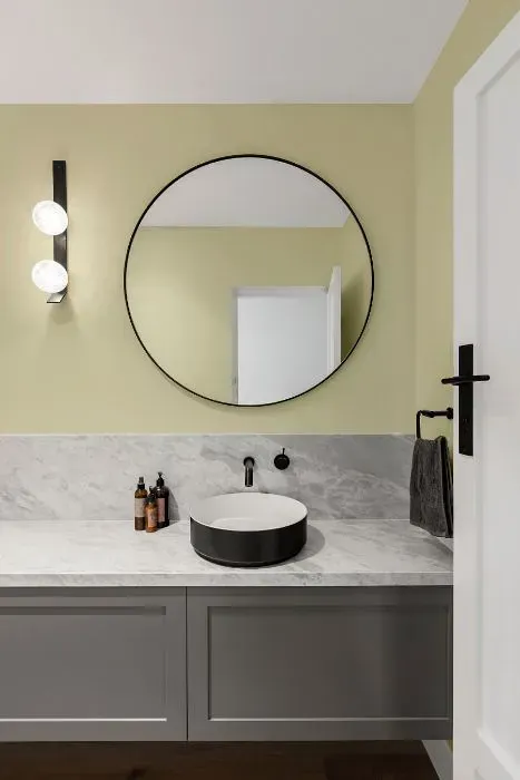 NCS S 1010-G90Y minimalist bathroom
