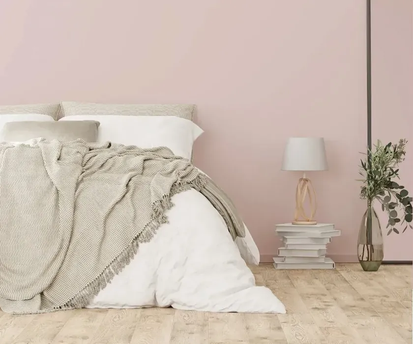 NCS S 1010-R cozy bedroom wall color