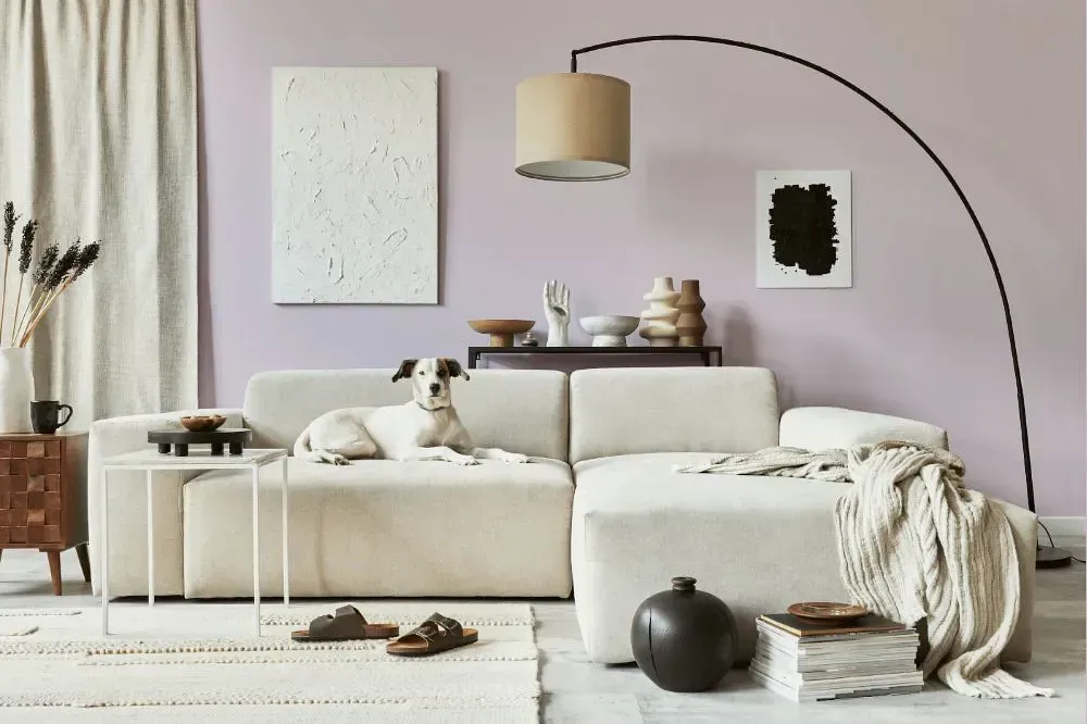 NCS S 1010-R50B cozy living room