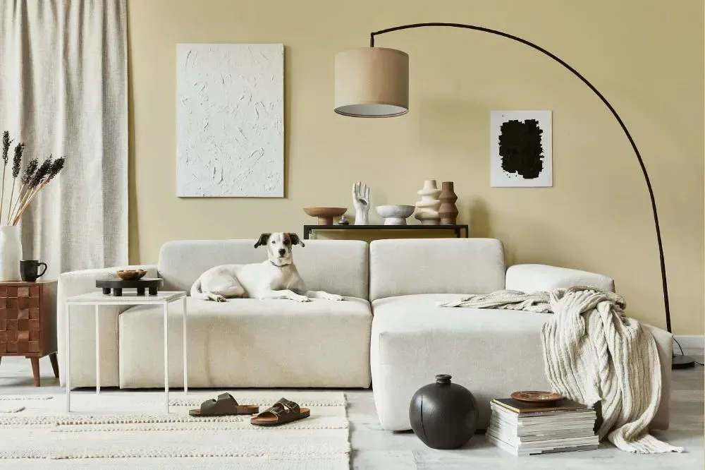 NCS S 1010-Y10R cozy living room