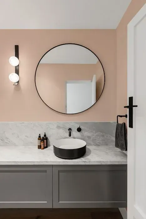 NCS S 1010-Y60R minimalist bathroom