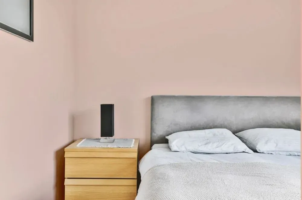 NCS S 1010-Y70R minimalist bedroom
