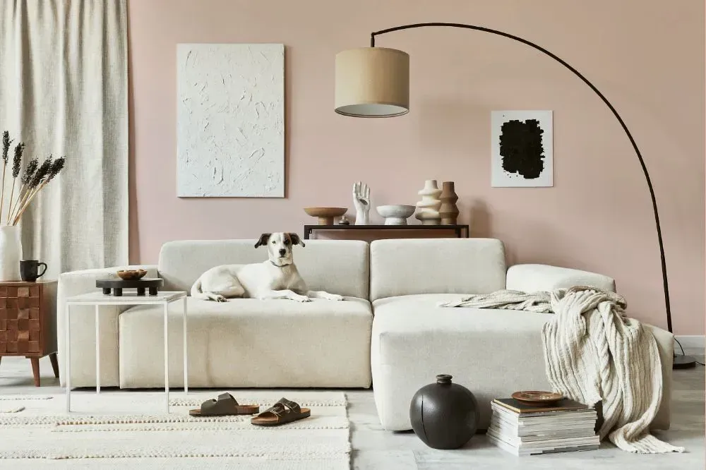 NCS S 1010-Y80R cozy living room