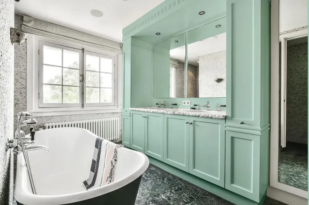 NCS S 1015-B80G victorian bathroom paint