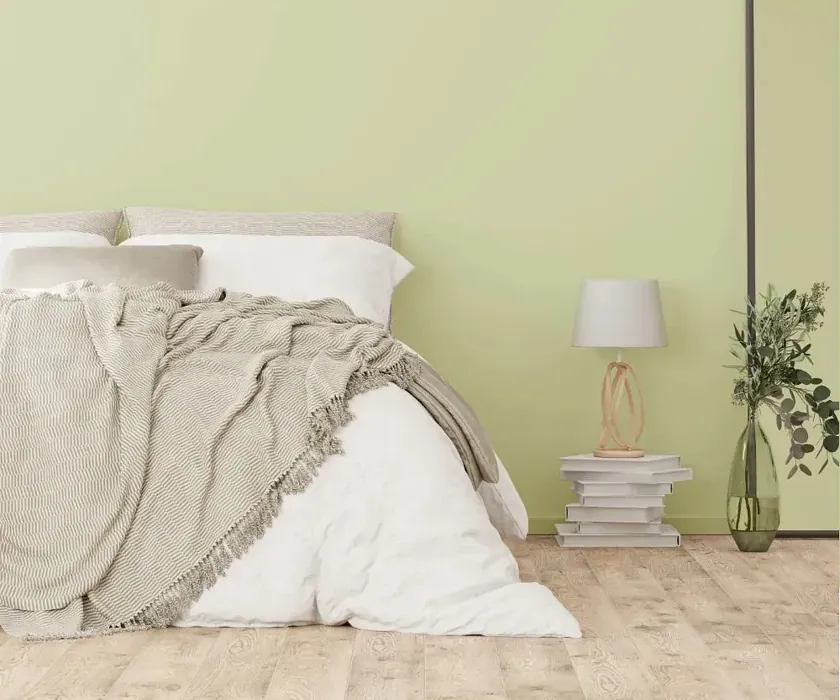 NCS S 1015-G60Y cozy bedroom wall color