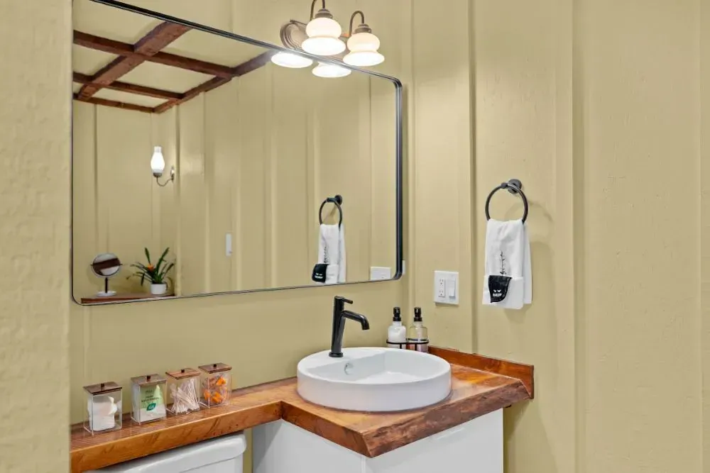 NCS S 1015-Y small bathroom