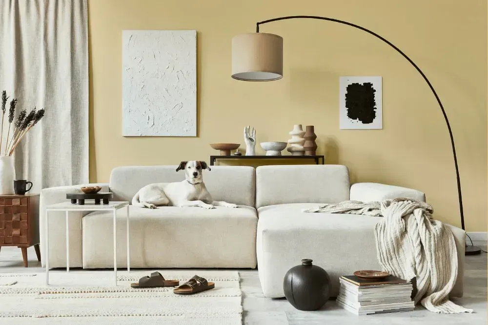 NCS S 1015-Y10R cozy living room