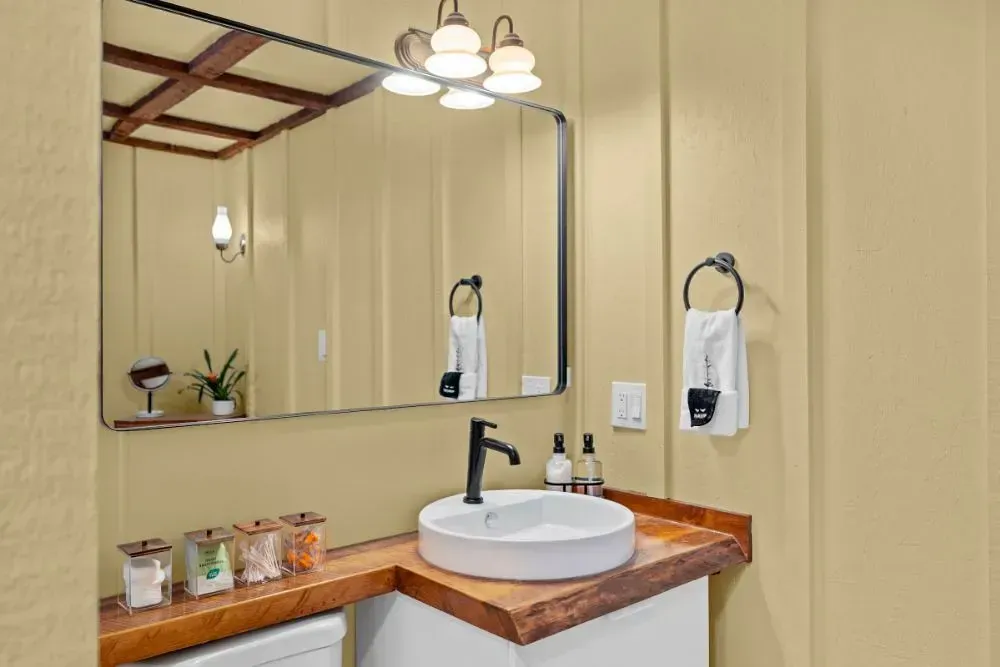 NCS S 1015-Y10R small bathroom