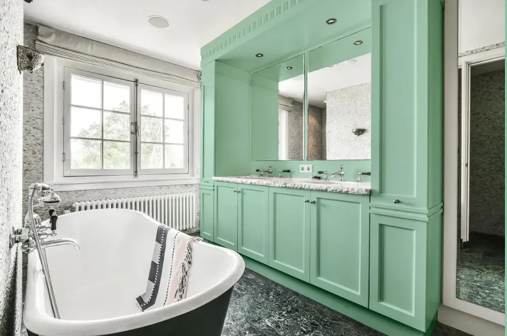 NCS S 1020-G victorian bathroom paint