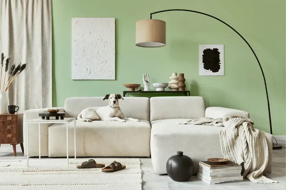 NCS S 1020-G30Y cozy living room