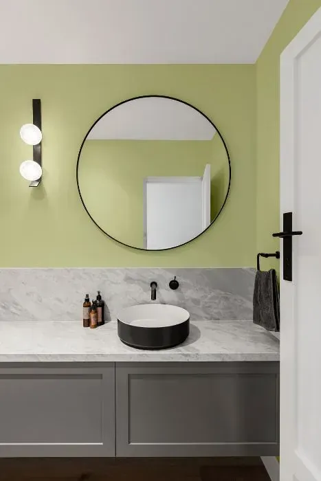 NCS S 1020-G60Y minimalist bathroom
