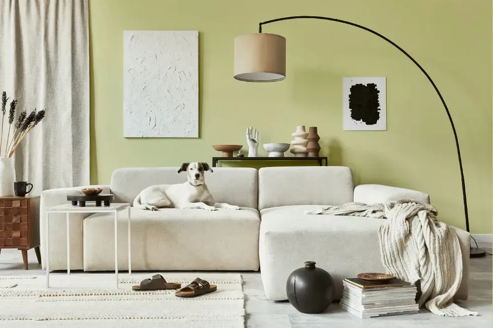 NCS S 1020-G70Y cozy living room