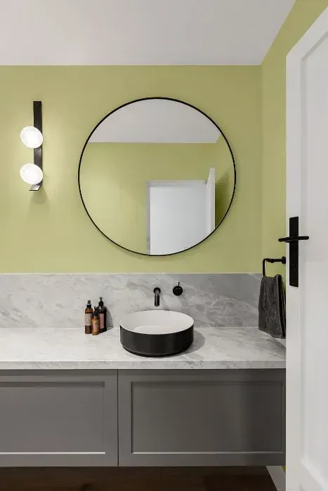 NCS S 1020-G70Y minimalist bathroom