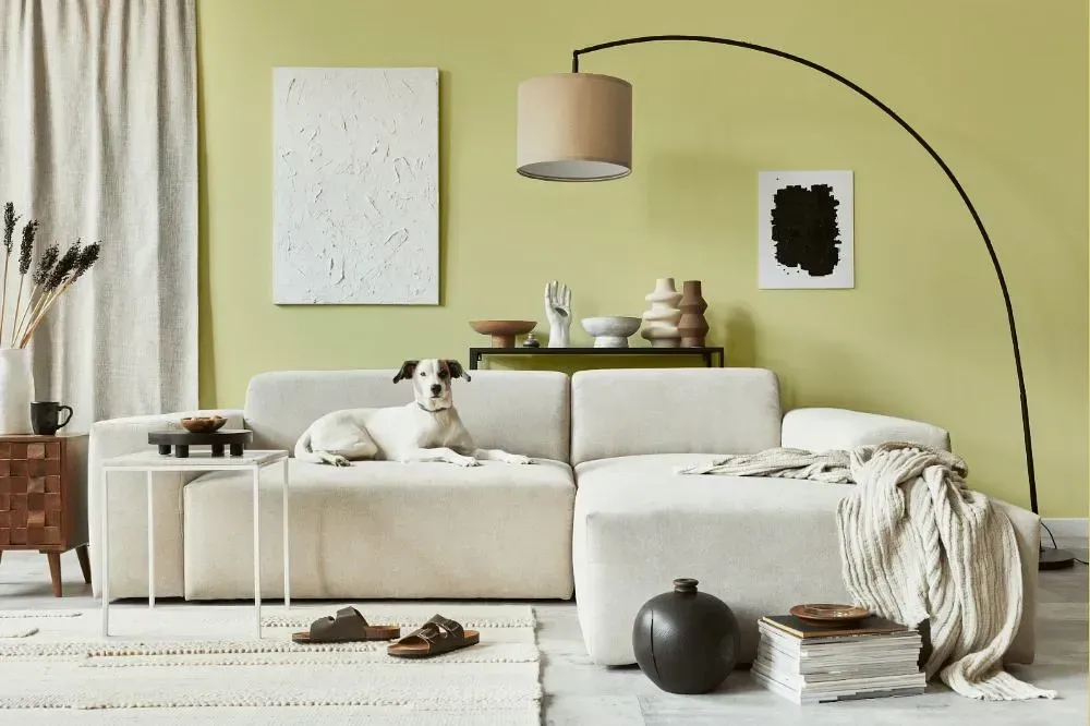 NCS S 1020-G80Y cozy living room