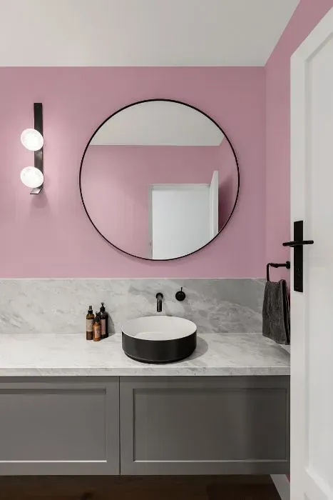 NCS S 1020-R30B minimalist bathroom