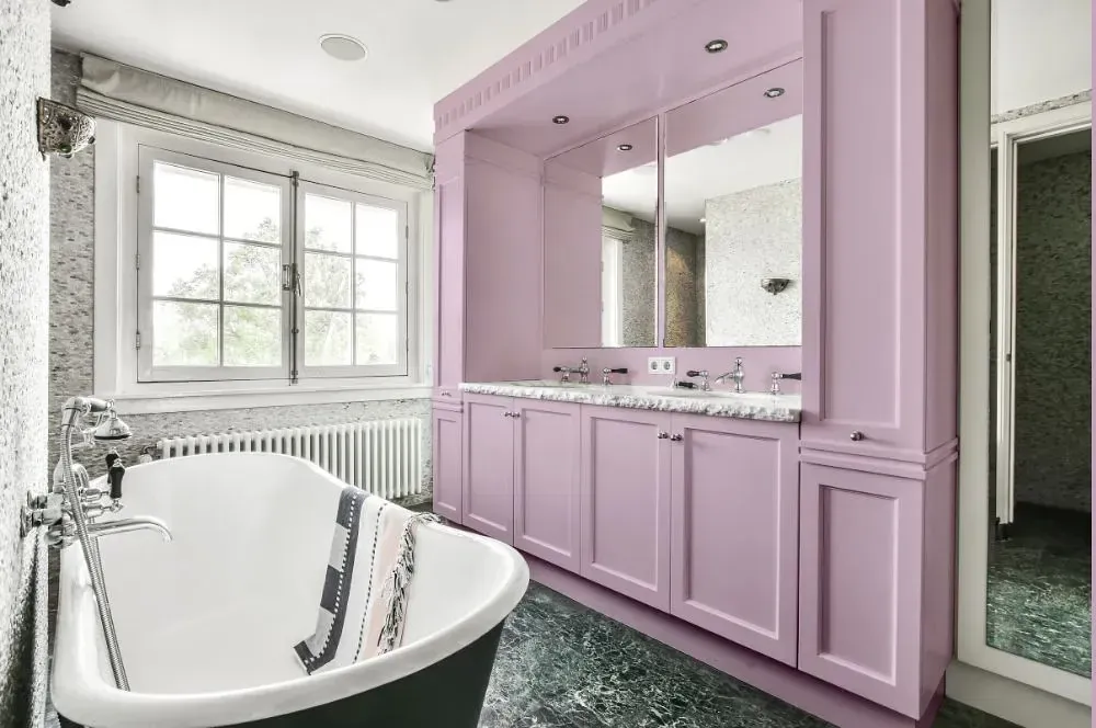 NCS S 1020-R40B victorian bathroom paint