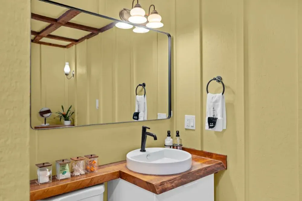 NCS S 1020-Y small bathroom