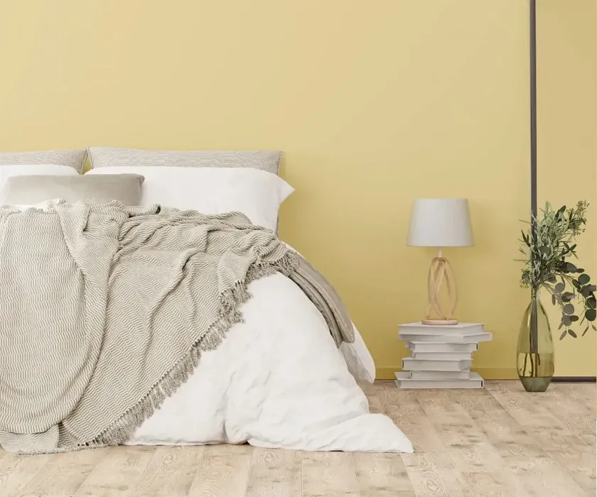 NCS S 1020-Y cozy bedroom wall color