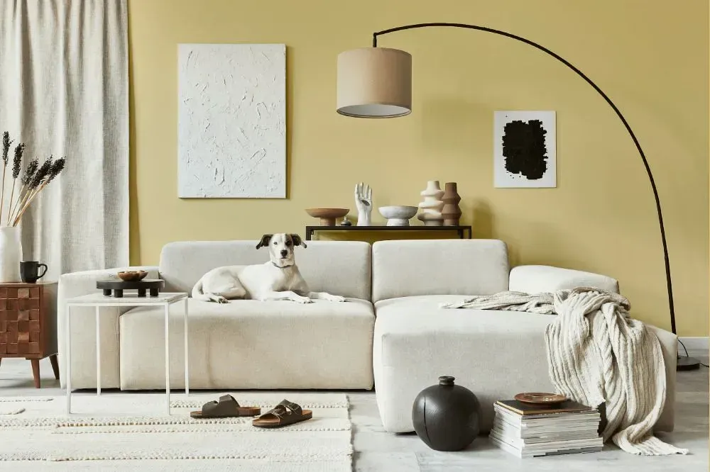 NCS S 1020-Y10R cozy living room