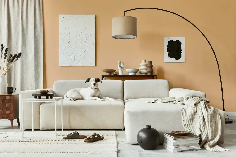 NCS S 1020-Y40R cozy living room