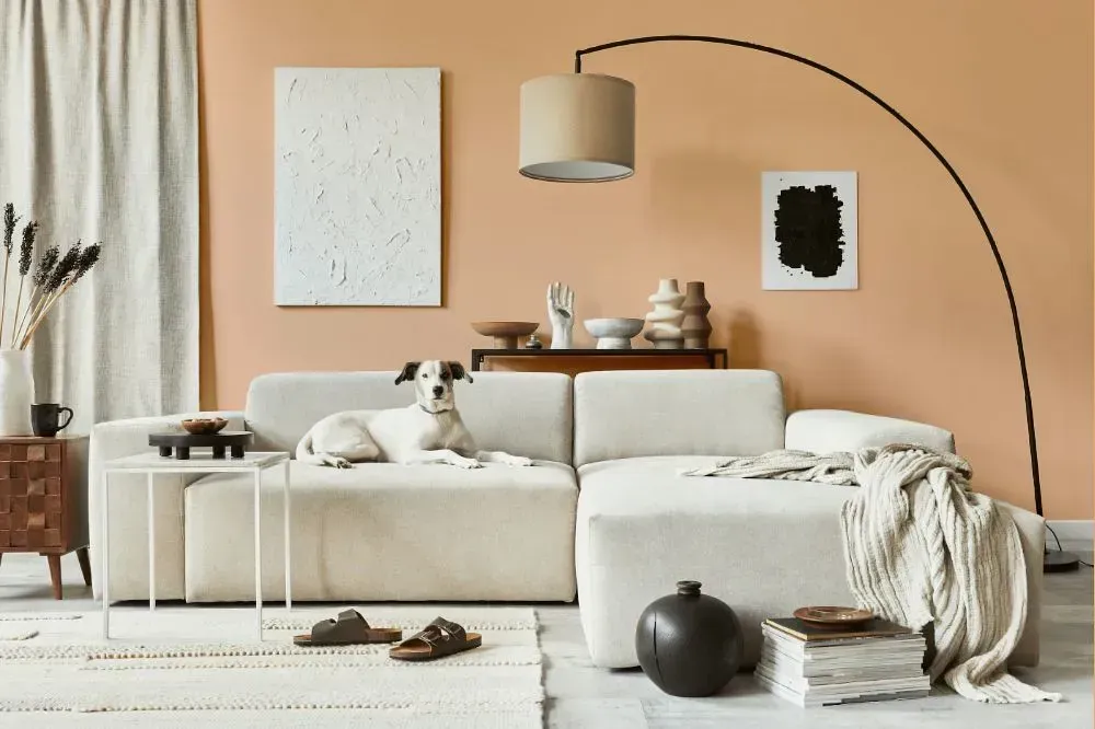 NCS S 1020-Y50R cozy living room