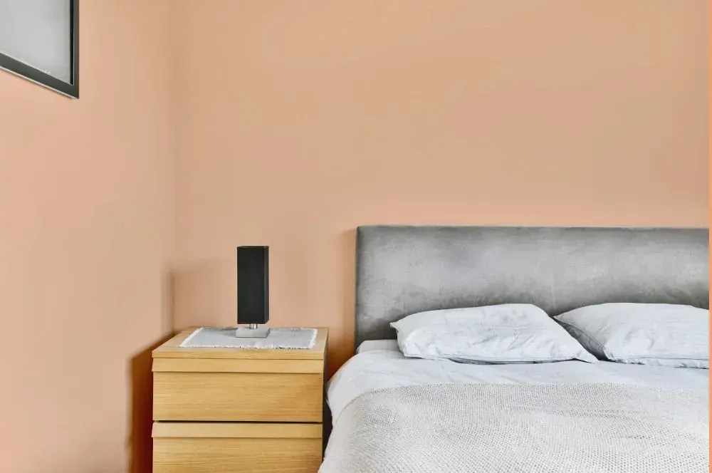 NCS S 1020-Y50R minimalist bedroom