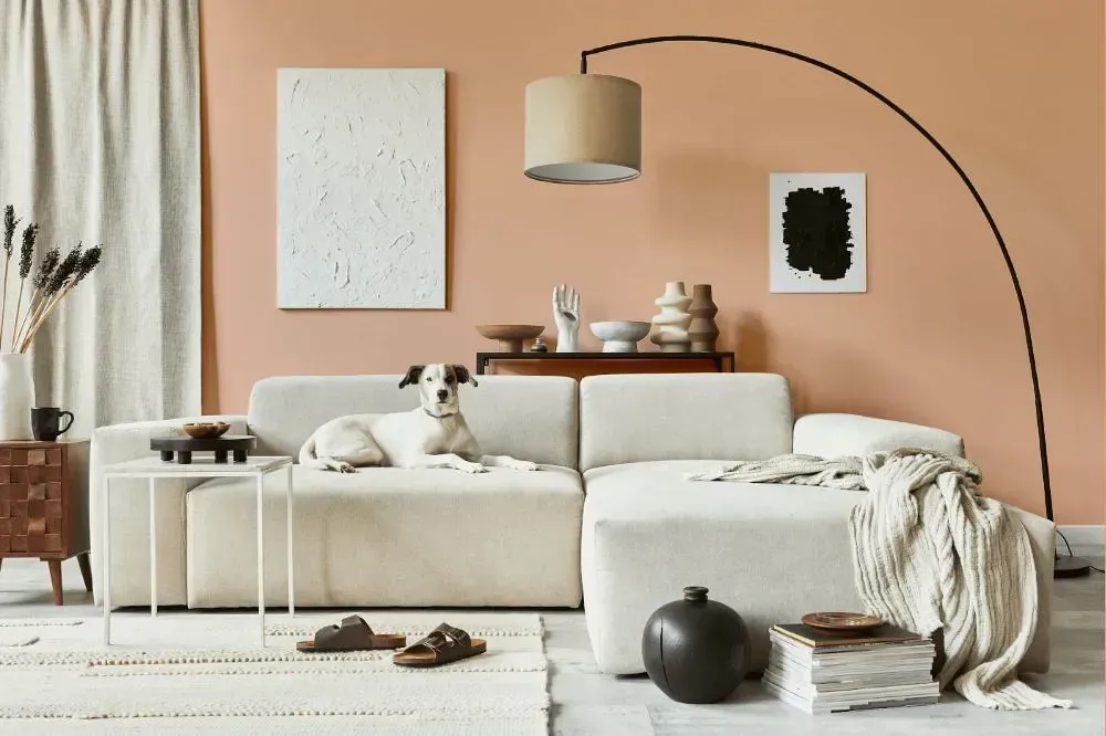 NCS S 1020-Y60R cozy living room