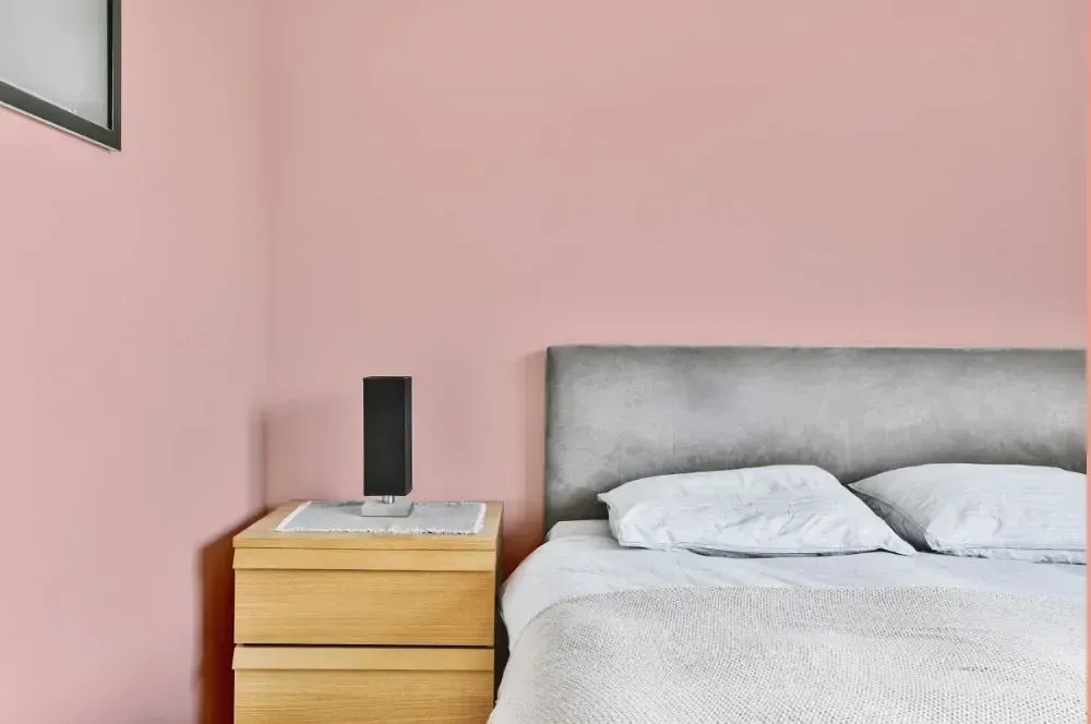 NCS S 1020-Y90R minimalist bedroom