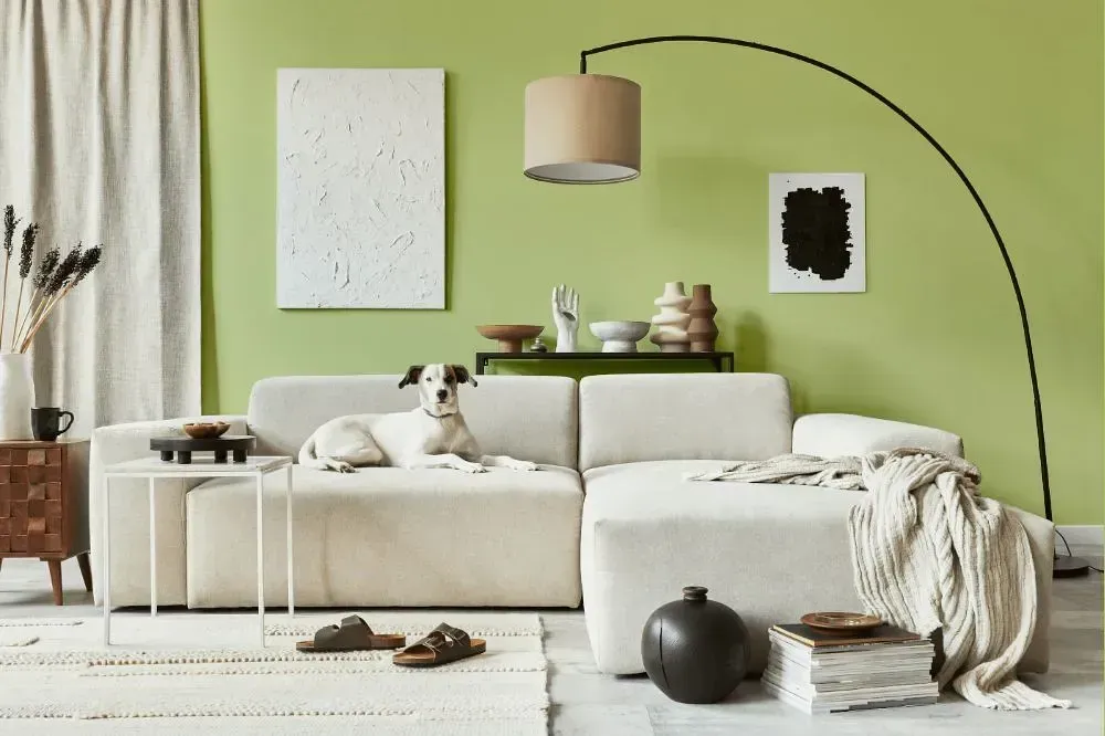 NCS S 1030-G50Y cozy living room