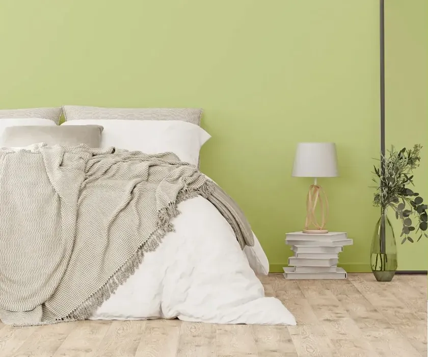 NCS S 1030-G50Y cozy bedroom wall color