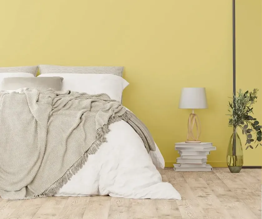 NCS S 1030-G90Y cozy bedroom wall color