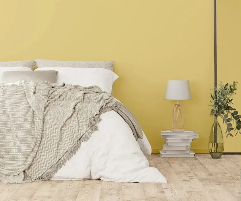 NCS S 1030-Y cozy bedroom wall color