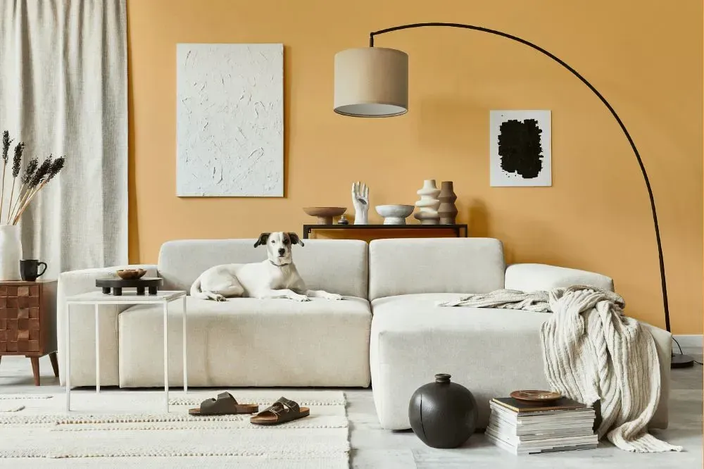 NCS S 1030-Y30R cozy living room