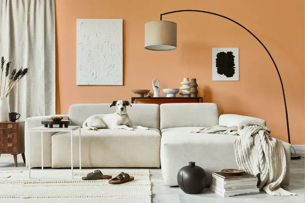 NCS S 1030-Y50R cozy living room