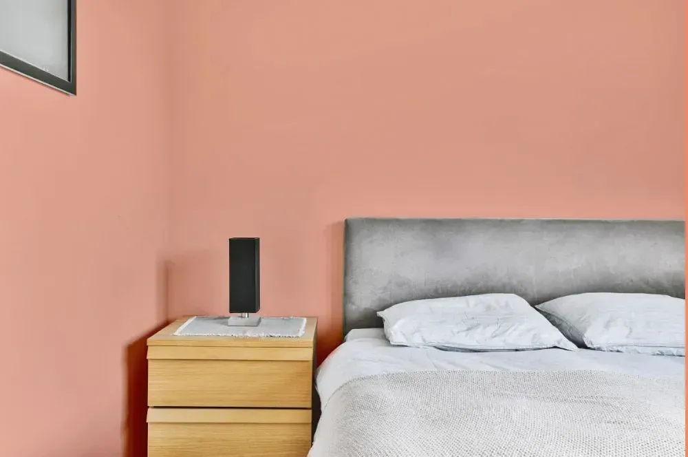 NCS S 1030-Y70R minimalist bedroom