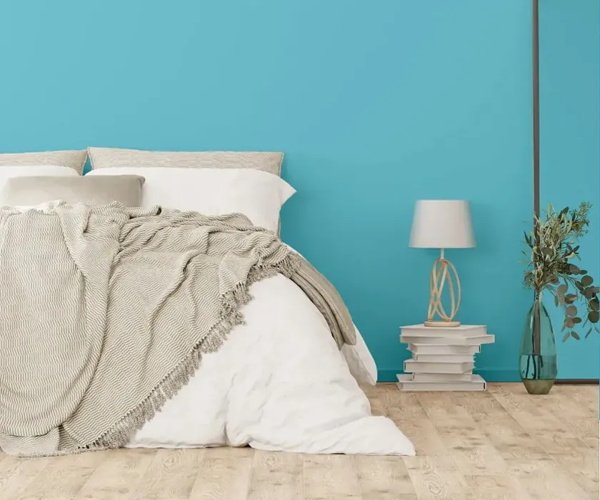 NCS S 1040-B10G cozy bedroom wall color