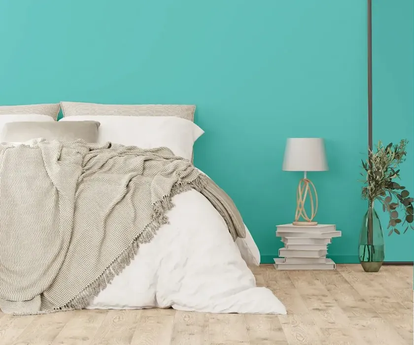 NCS S 1040-B50G cozy bedroom wall color