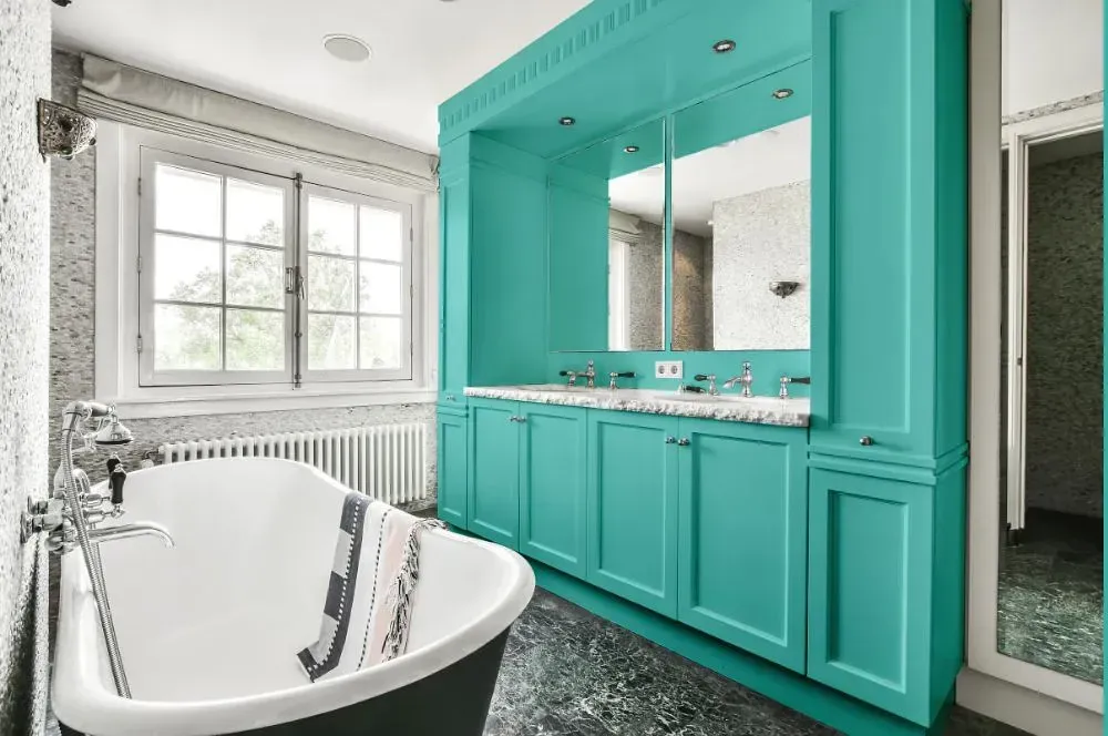 NCS S 1040-B60G victorian bathroom paint