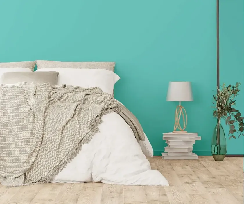 NCS S 1040-B60G cozy bedroom wall color