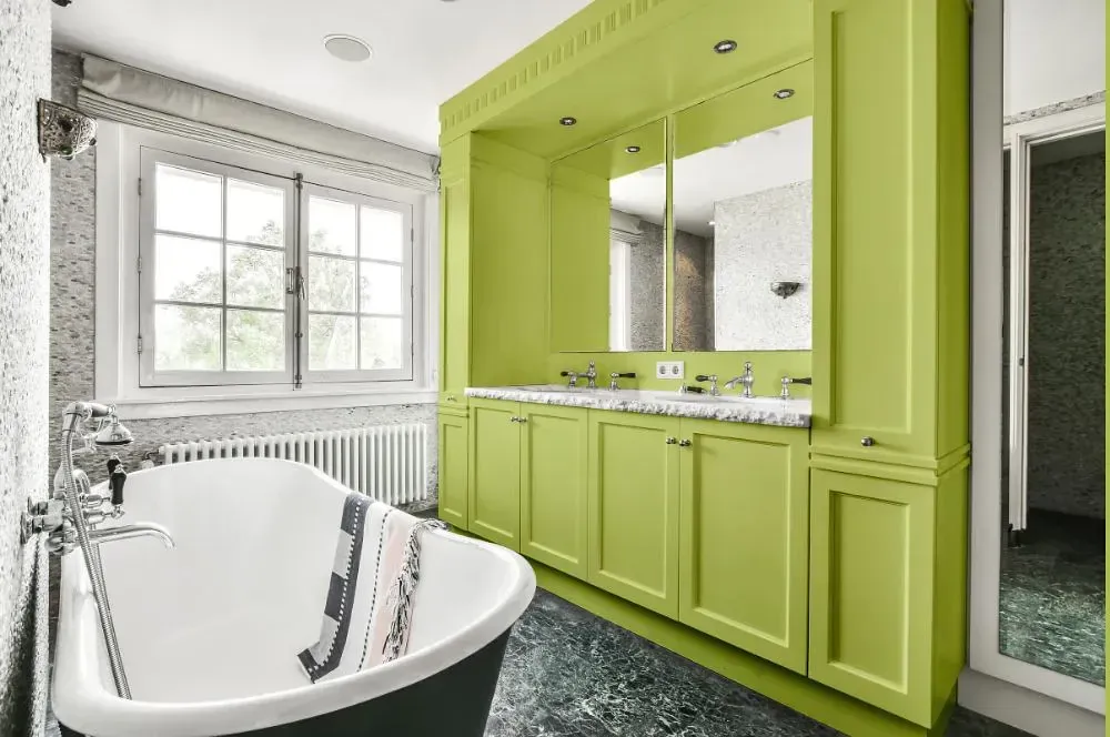 NCS S 1040-G60Y victorian bathroom paint