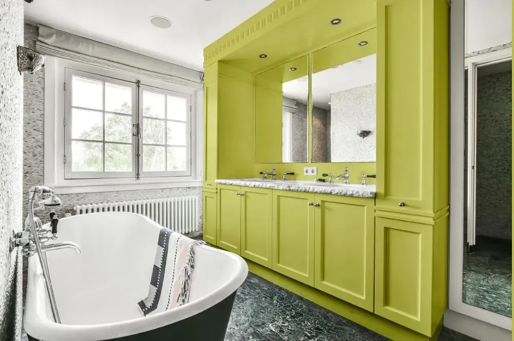 NCS S 1040-G70Y victorian bathroom paint