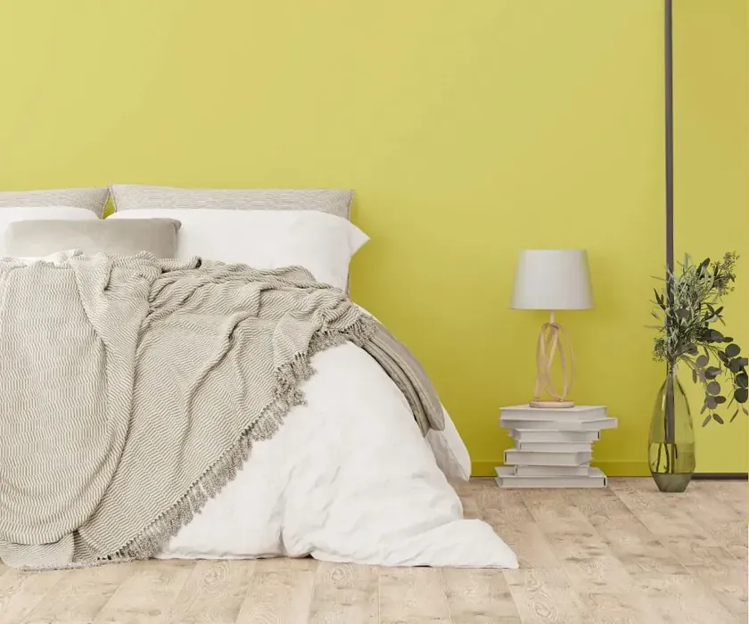 NCS S 1040-G80Y cozy bedroom wall color