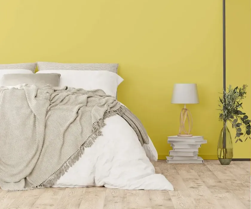 NCS S 1040-G90Y cozy bedroom wall color