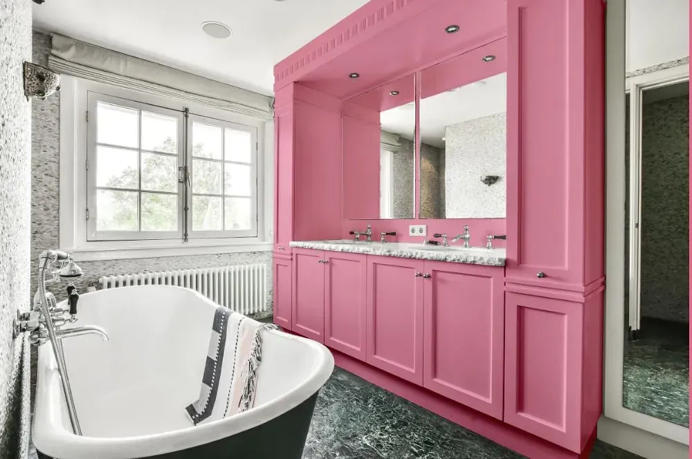 NCS S 1040-R20B victorian bathroom paint